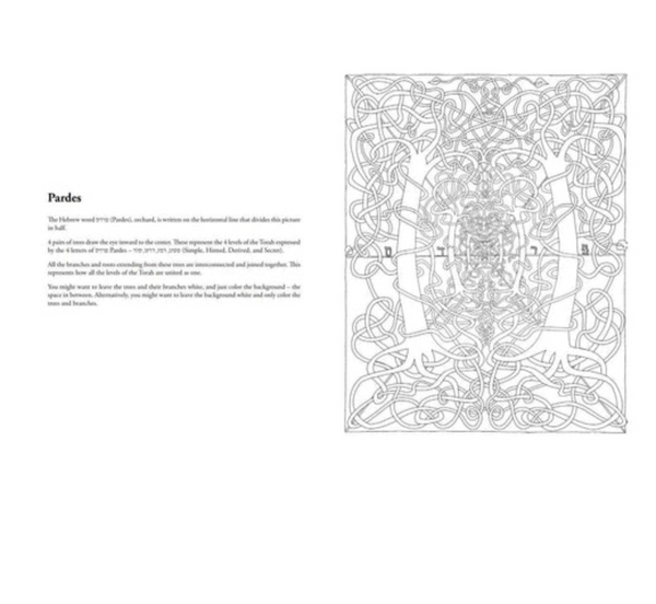 The Kabbalah Coloring Book (EN, SC) Kabbalah Store Toronto