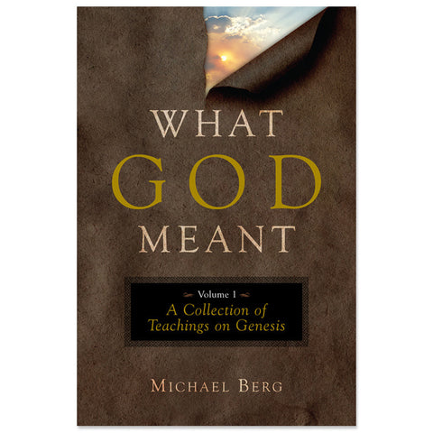 What God Meant: Vol 1 Genesis (English, Paperback)
