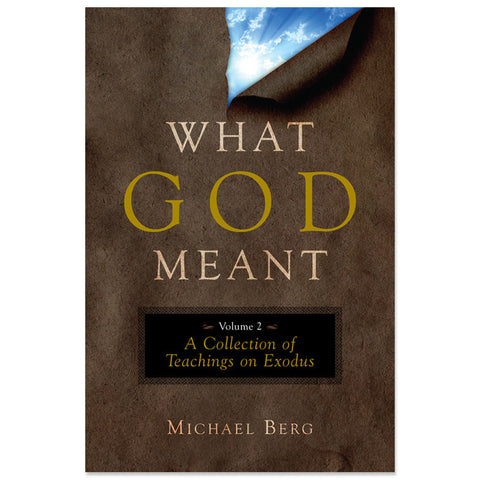 What God Meant: Vol 2  Exodus (English, Paperback)